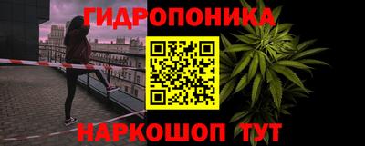 СК Рязань