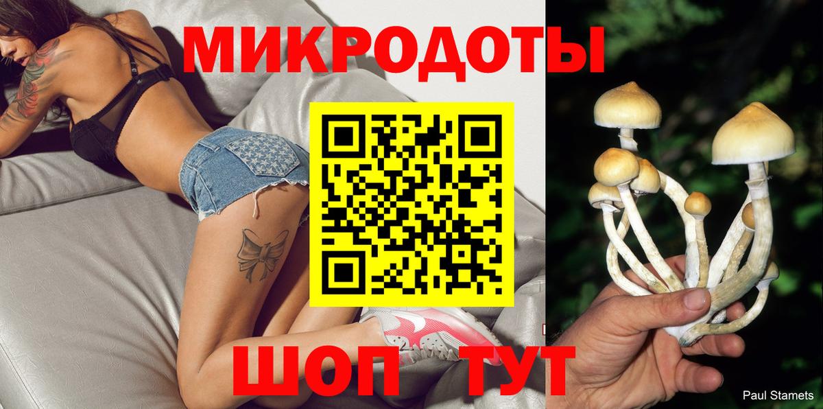 Псилоцибиновые грибы Psilocybine cubensis  Псилоцибиновые грибы мухоморы  Вход с VPN  Ртищево 
