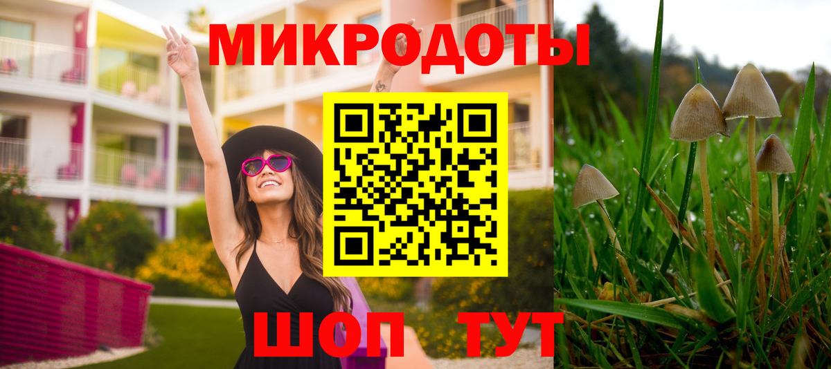 Псилоцибиновые грибы ЛСД Ртищево
